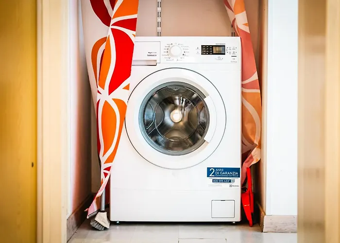 Sequoia ビビオーネ