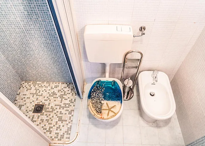 Sequoia ビビオーネ